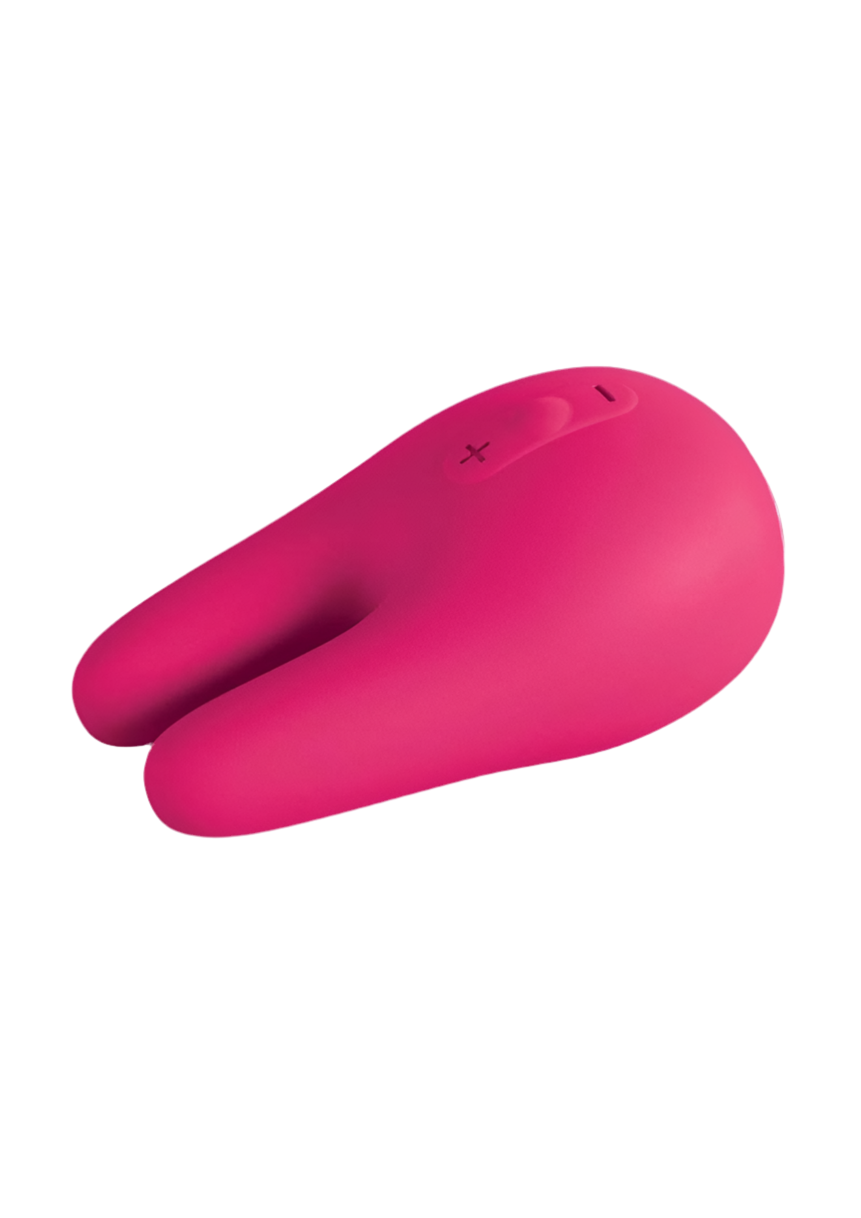 Form 2 Pro