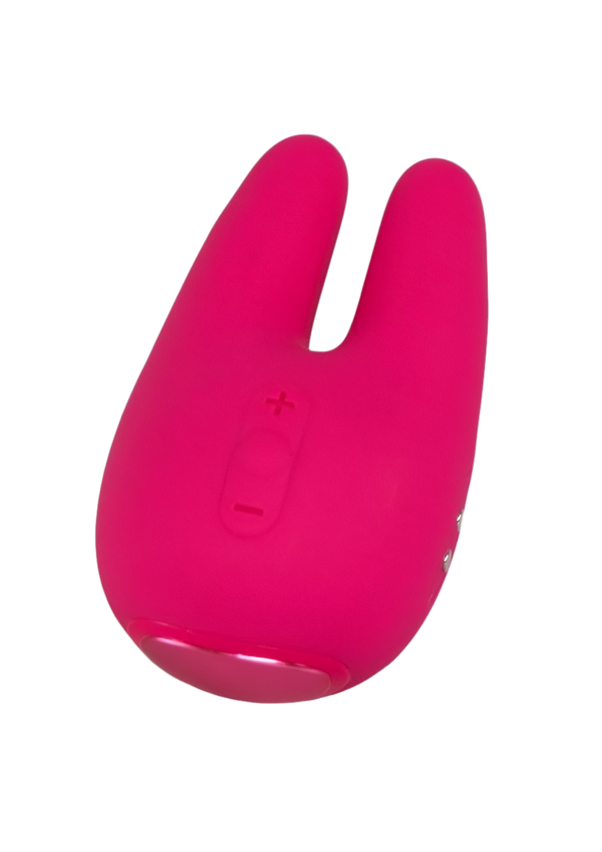 Form 2 Pro