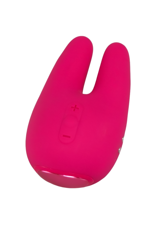 Form 2 Pro