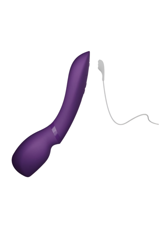 We-Vibe Wand