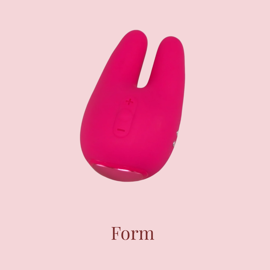 Form 2 Pro